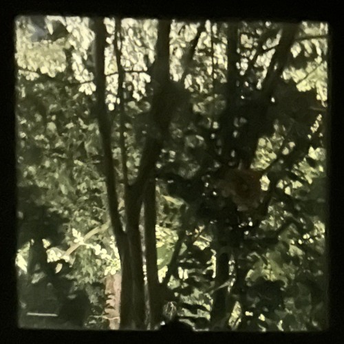 ether (disquiet0669)