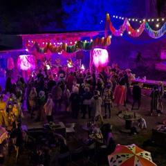 Minnie Kupa (DJ Minne b2b The KoKos) @ Psychedelic Bush Disc Vol. 3