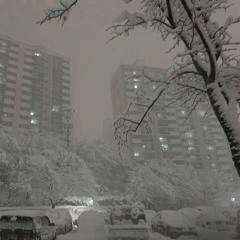 mikeyfed - MAYBE I JUST LOST CONTROL