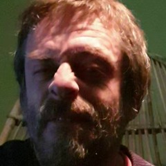 Dibidi