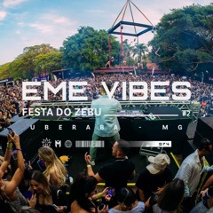 VIBES#2 - FESTA DO ZEBU