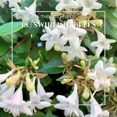 MEDITATION 18 : SWIRLING BELLS