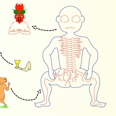 1 - Oh, I Am So Sorry! I Didn’t Mean To Scratch Your Face