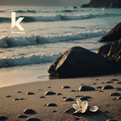 Elegant Lounge Music