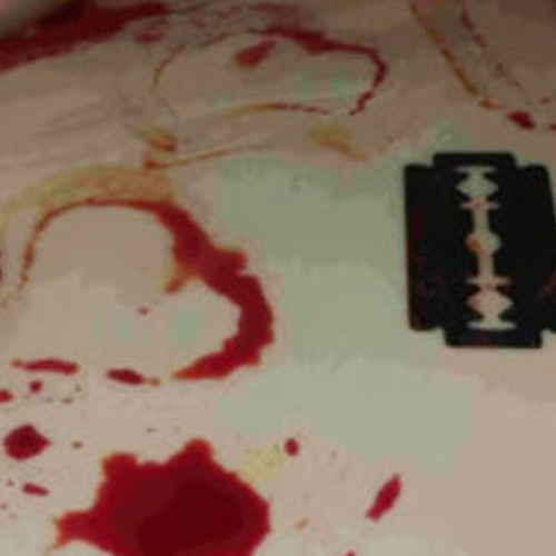 My Little Gore (raiseherblade)