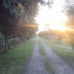 someday ft. 𝕽 (Omamurin)