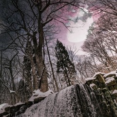 Winter Constellations