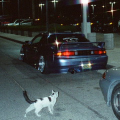 chanel ( w/ Swayze )