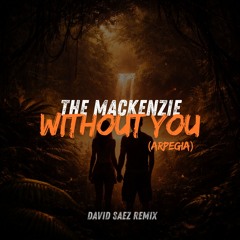 The Mackenzie - Without You (Arpegia) - (David Saez  Bootleg)