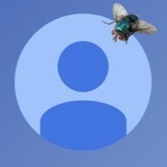 His Holiest Macaroni