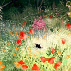 IMF Favorites (April 2021)