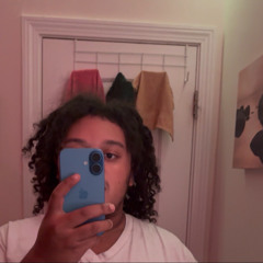 noahs arc/benz truck