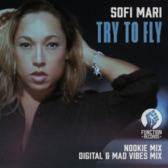 Try To Fly (Digital & Mad Vibes mix)