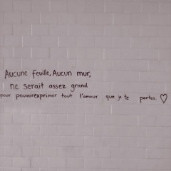 Notre plus beau passage.txt