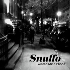 TL PREMIERE : Snuffo - The Wee Hours [Analog Records]