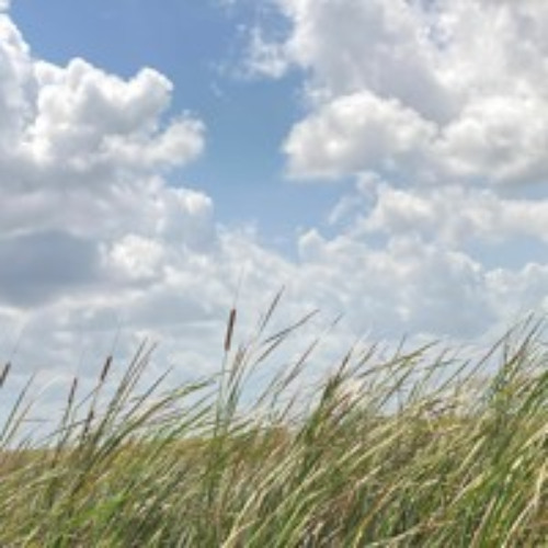 Pipers Into The Thistles Parts 1 - 3