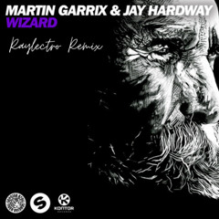 Martin Garrix & Jay Hardway - Wizard (Raylectro Bootleg)