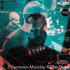 NoDem for Downtown Monday Radio Show † Warm fm (08.04.2024)
