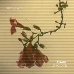 Out Of Sough - Awake