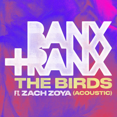 The Birds (Acoustic) [feat. Zach Zoya]