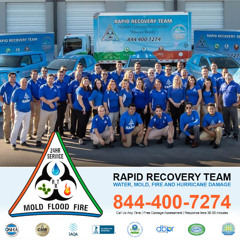 Remodeling Services Florida: Faster Results with Rapid Renovations