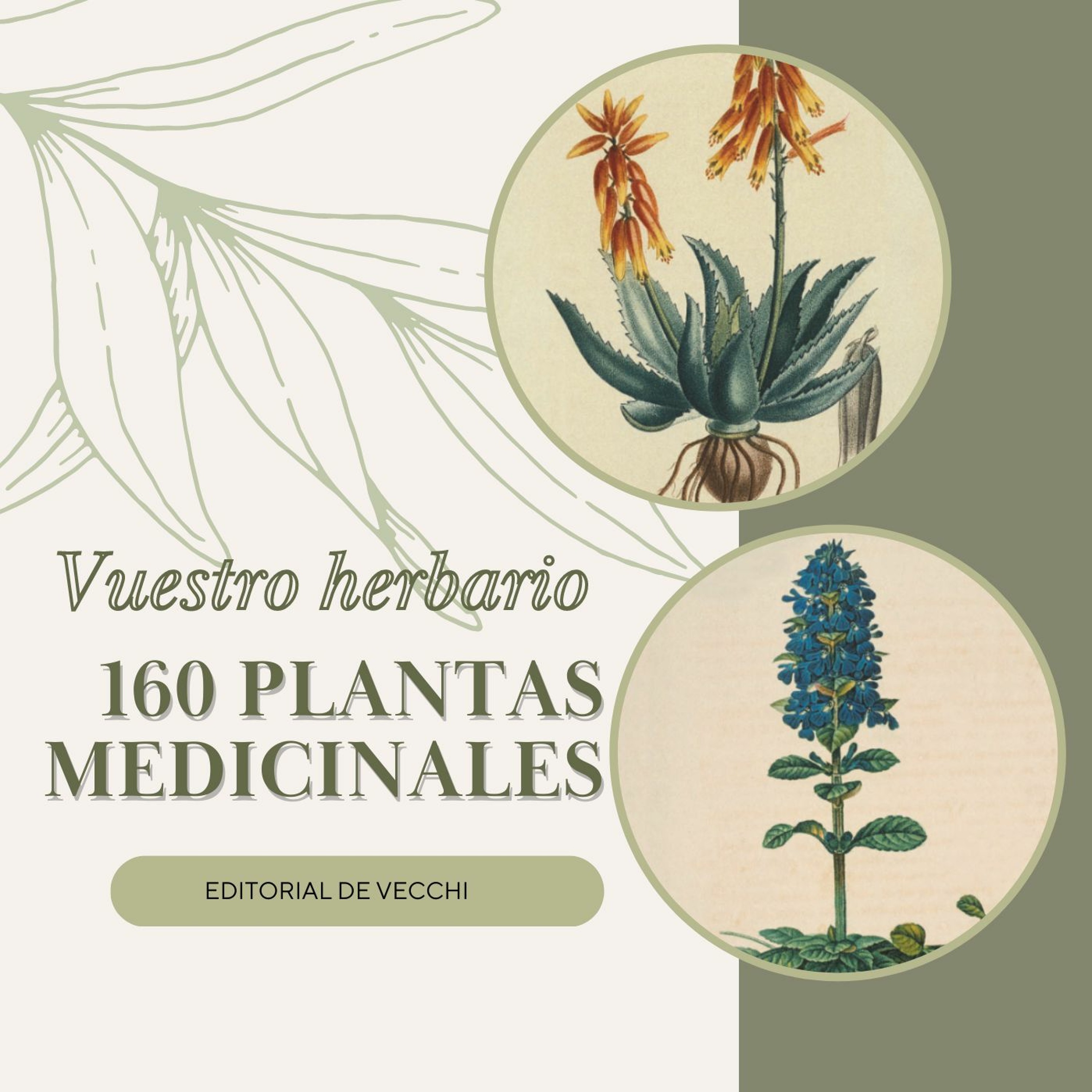 Devecchi Ediciones