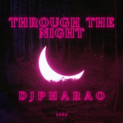 THROUGH THE NIGHT