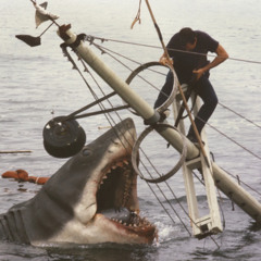 Jaws