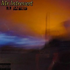 Mr. Introvert