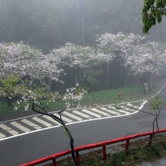 The House with no doorbell.mp3