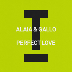 Perfect Love (Extended Mix)