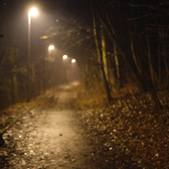 Autonomous Sleuth 4015