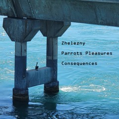 Zhelezny - Parrots Pleasures - Consequences