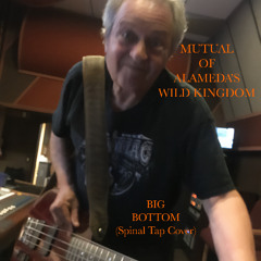 Big Bottom (Spinal Tap Cover) (Featuring David Kaffinetti on VOX)
