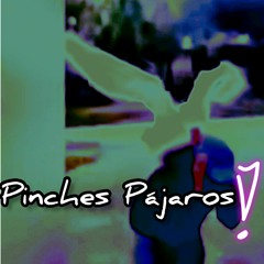 Pinches Pájaros
