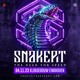 on SNAKEPIT 2023 - PIT II - LADY DAMMAGE (Live)
