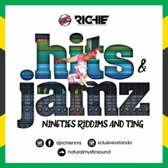 Hits And Jamz "Nineties Riddim and Ting"