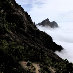 Walking Ears - Verde