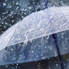 You Left Me in the Rain