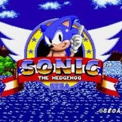The Sonic Music Playlist[All Songs?]