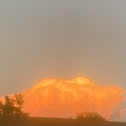 today (prod. disktray)