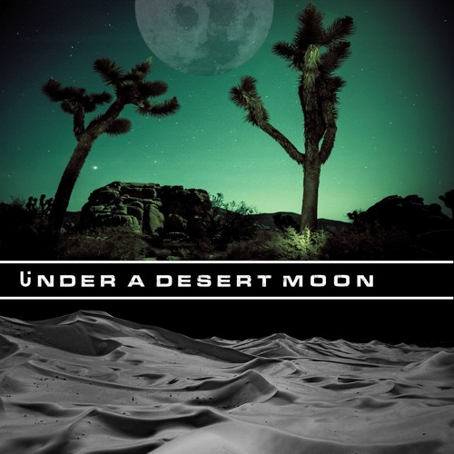 Under A Desert Moon - Deep Dark Organic & Progressive House