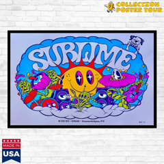 Sublime CMAC August 22 2025 Canandaigua NY Concert Poster