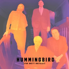 HUMMINGBIRD (For Brett Whiteley)