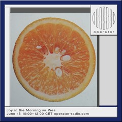 Joy in the Morning #7 @ Operator Radio 15.06.24