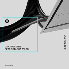 Slip n Slide - Acid Dub