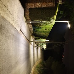 d_r0wn 1/52