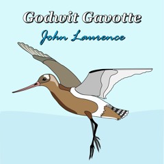 Godwit Gavotte
