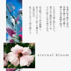 eternal bloom
