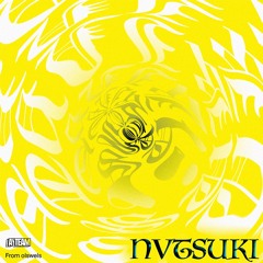 Nvtsuki - AY Team